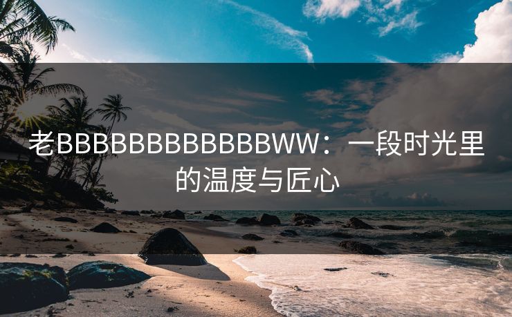 老BBBBBBBBBBBBWW：一段时光里的温度与匠心